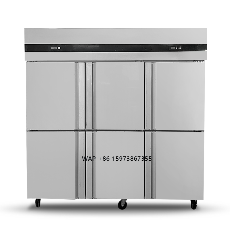 Frigorifero Commerciale a 6 Po - Commercial Kitchen Door recensione e prezzo