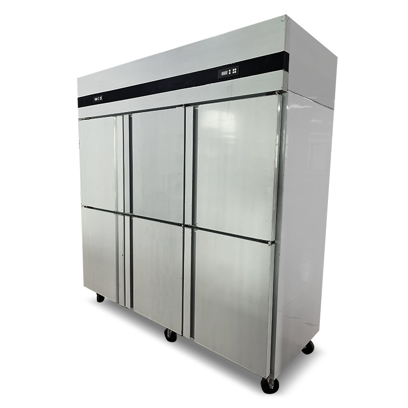 Frigorifero Commerciale a 6 Po - Commercial Kitchen Door recensione e prezzo