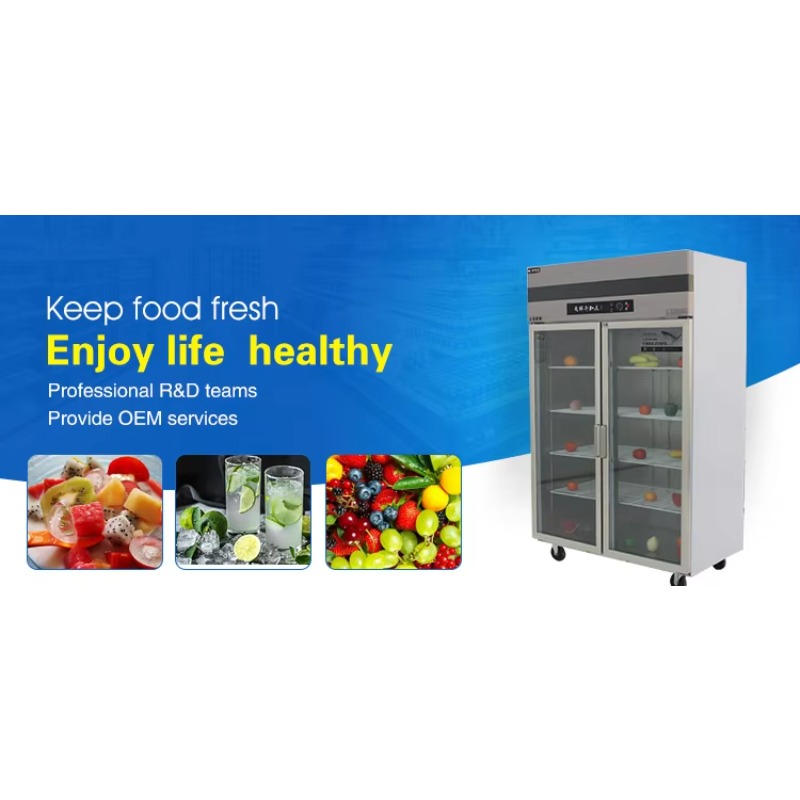 Frigorifero Commerciale Person - Commercial Kitchen Door recensione e prezzo